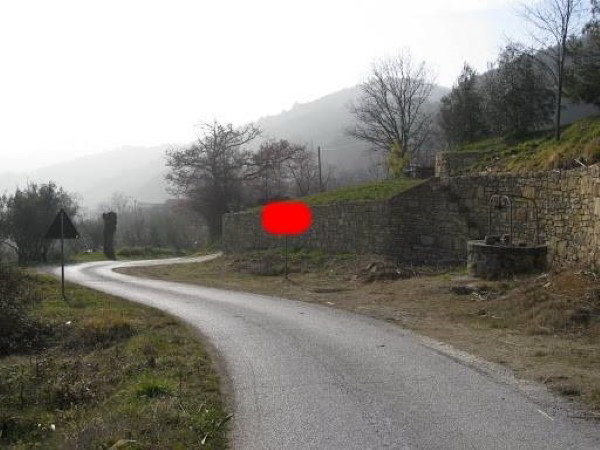 rtsel_1743.jpg