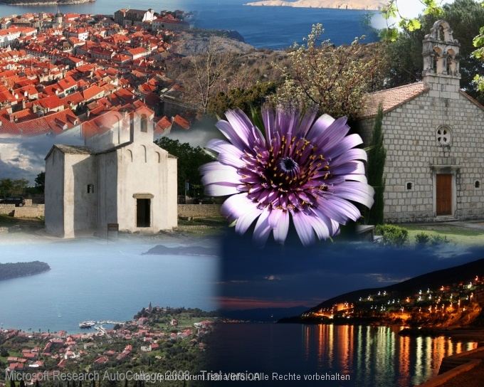 CollageHR_680.jpg