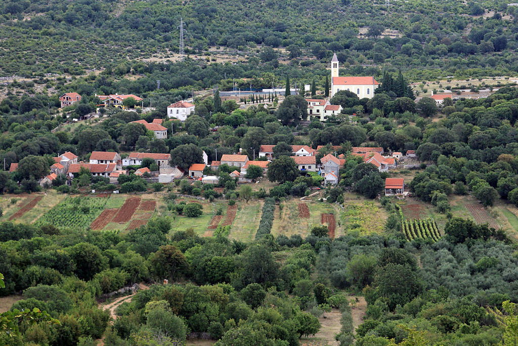 33690161nh.jpg