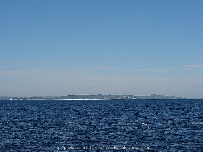 OTOK_IZ_IMG_3225.jpg