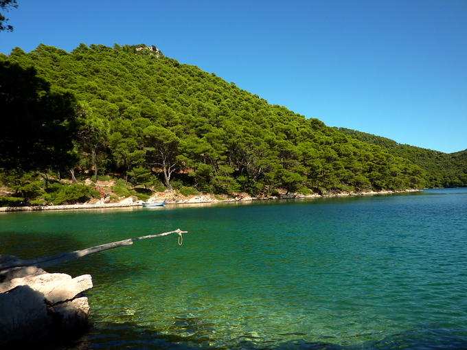Mljet-001.jpg