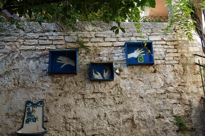 DSC07518-1.jpg