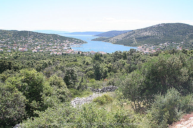 VINISCE_IMG_4680.JPG