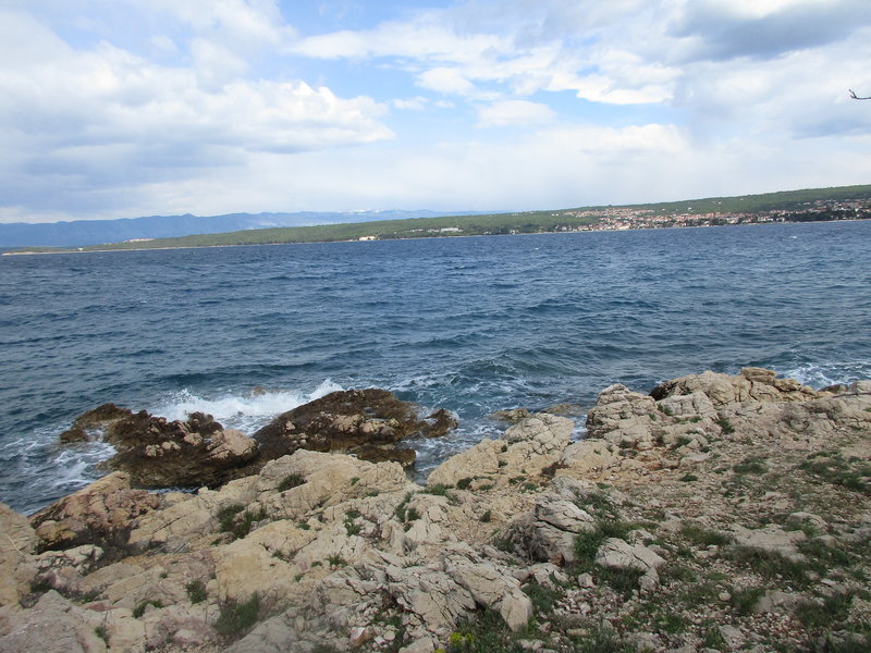 28973243uy.jpg