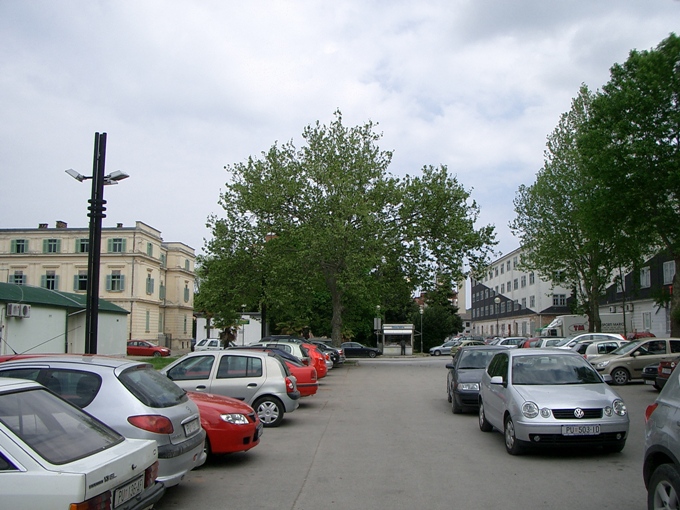 CIMG7718_-_Kopie.jpg