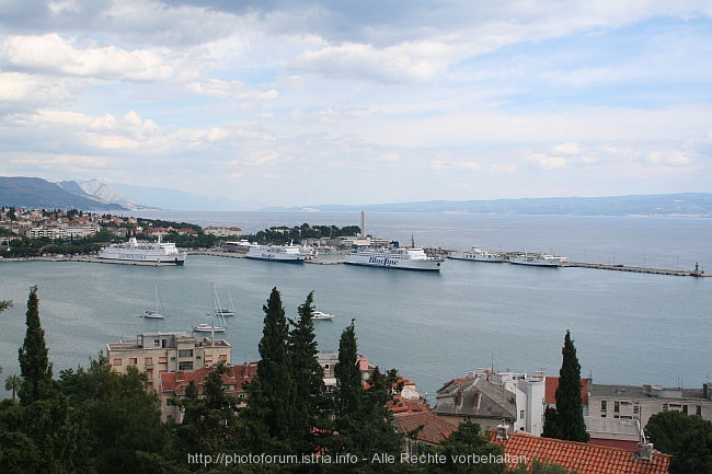 SPLIT_MARJAN_IMG_4997.JPG