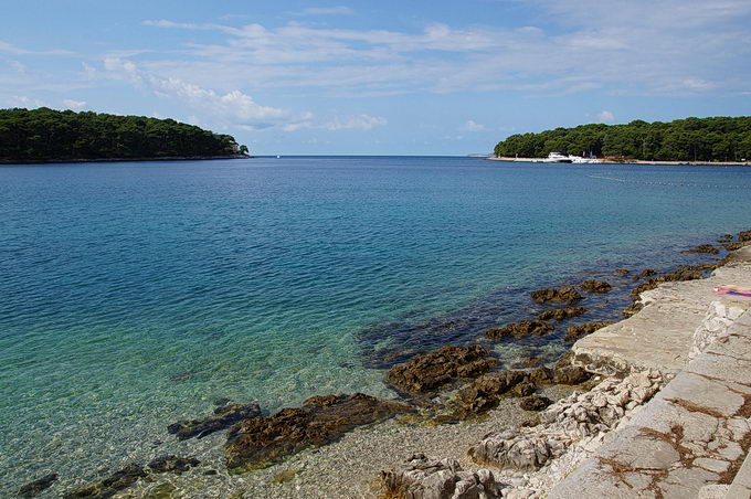 DSC08212-1.jpg