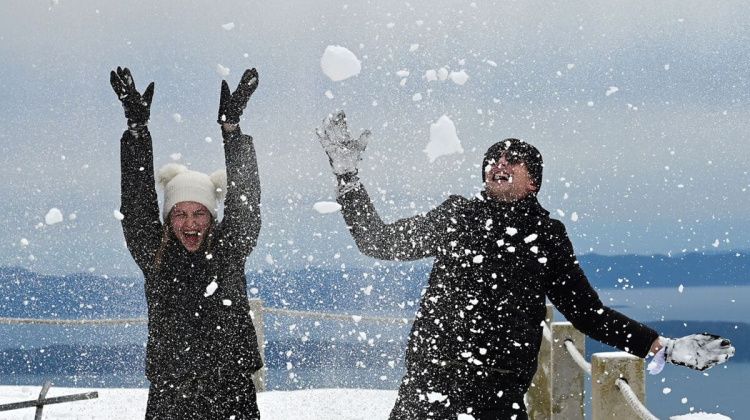 www-portal-hr.translate.goog