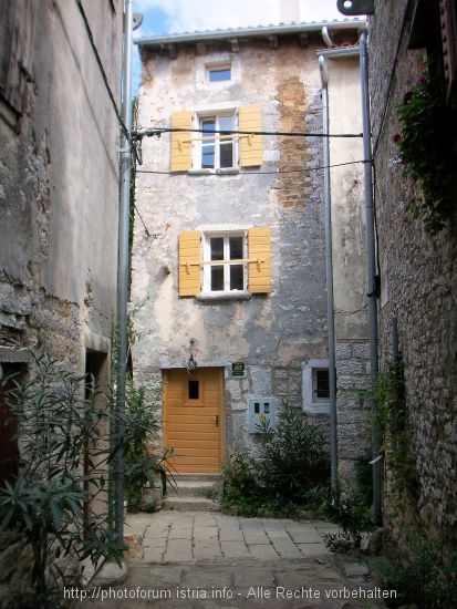100_9564.JPG