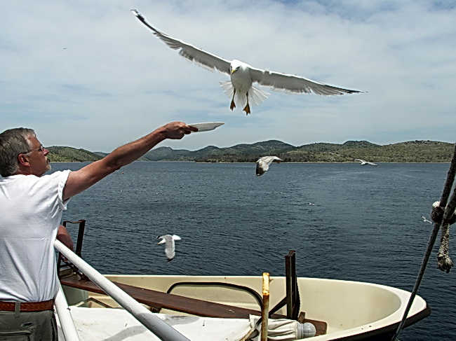 PICT5492-1.jpg