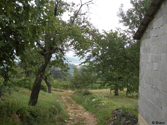 Aussicht.jpg