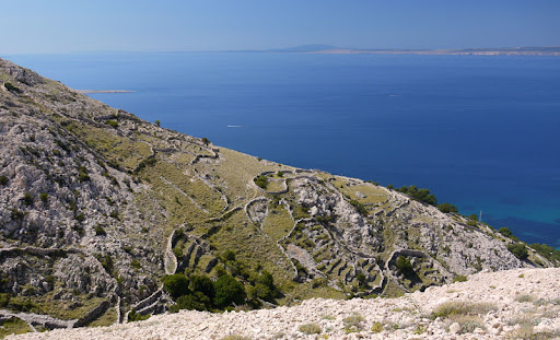 P1200432e.jpg
