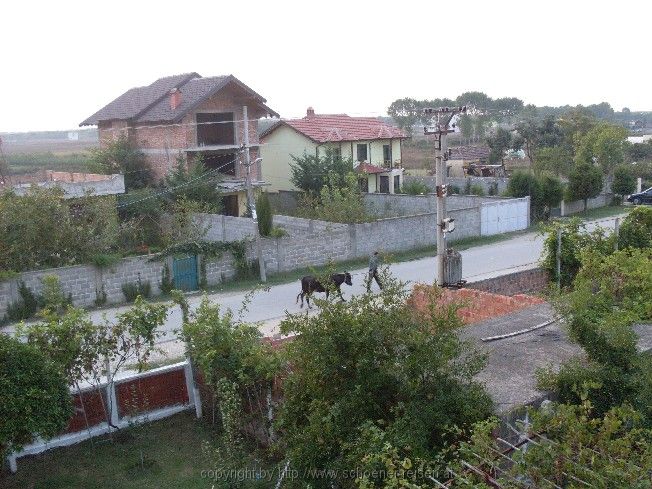 SDC11200.jpg