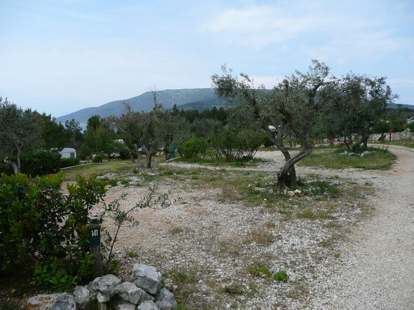 P1180753_Bildgre_ndern.JPG
