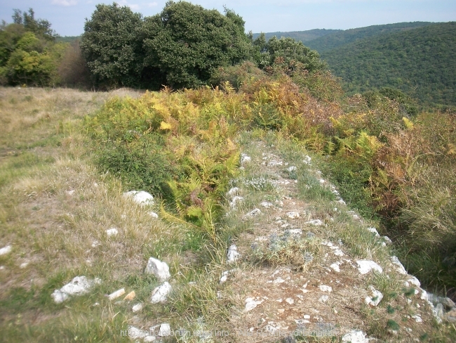 100_2470.jpg