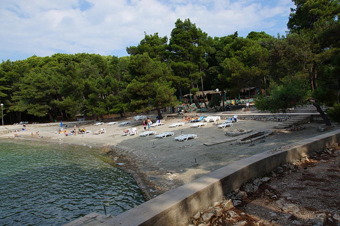 DSC08216-1.jpg
