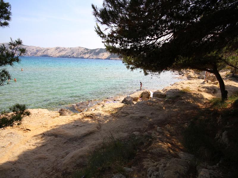 2014-10-114.jpg