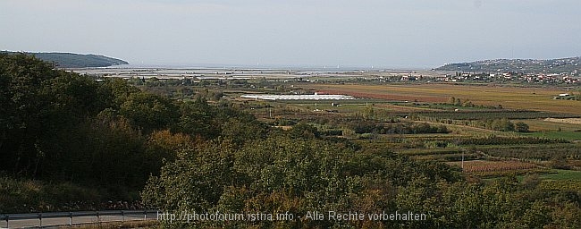 NATURSCHUTZGEBIET_SECOVELJSKE_SOLINE_IMG_7542b.jpg