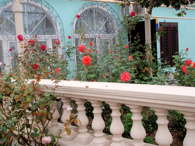 P9290854.jpg