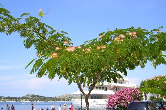 21_Hafenpromenade_in_Sibenik.jpg
