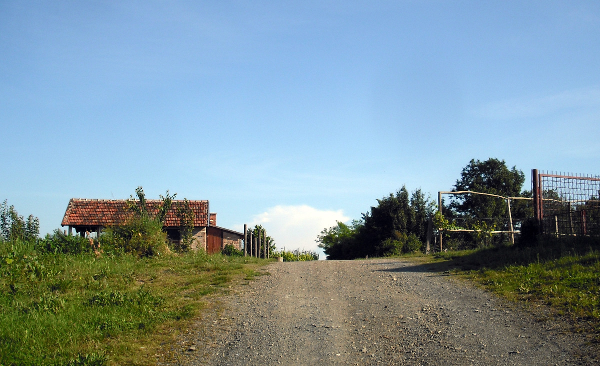 f11739433t527251p7756032n5.jpg