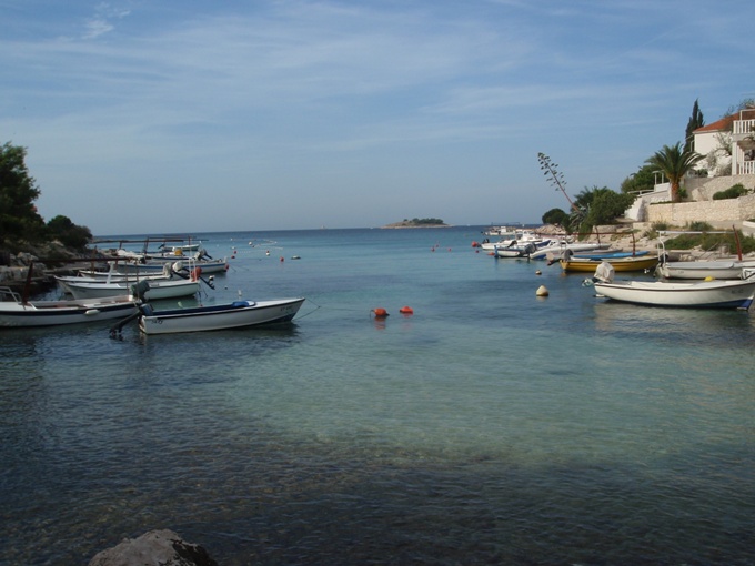P1010376.jpg