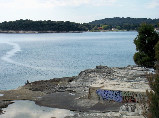 Lungo_006.jpg