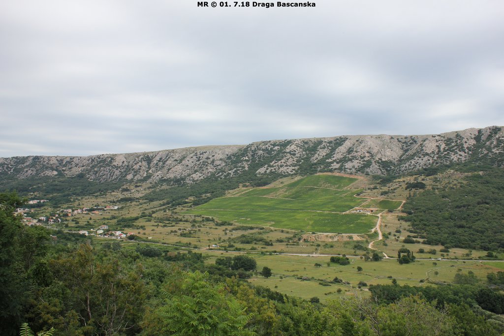 33134881bl.jpg