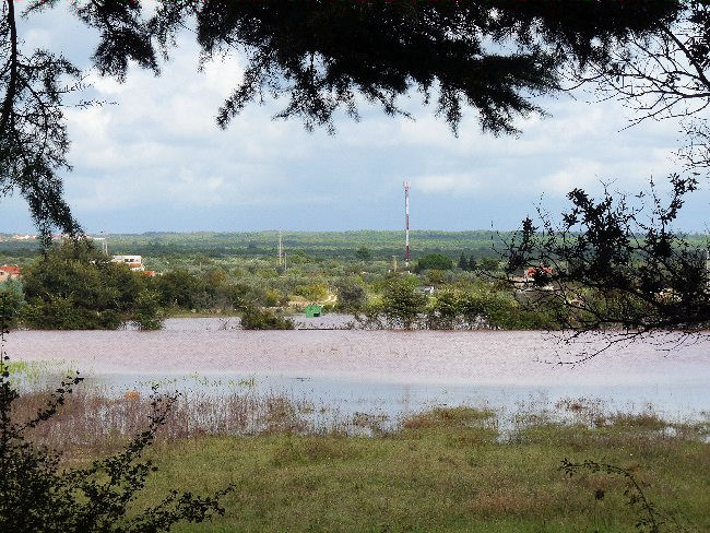 P1220467.JPG