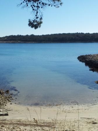 20130303_120754.jpg