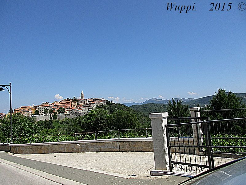 30405228gz.jpg