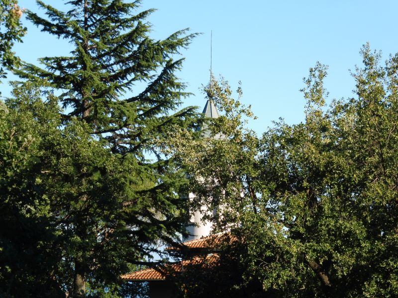 P1140474.jpg