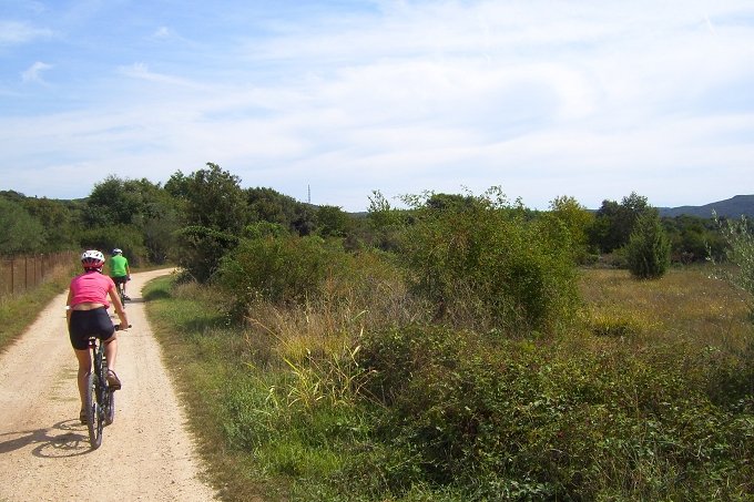 49_Wander-_und_Radweg_am_Limski-Kanal.JPG