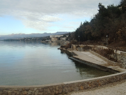 IMAG0059.jpg