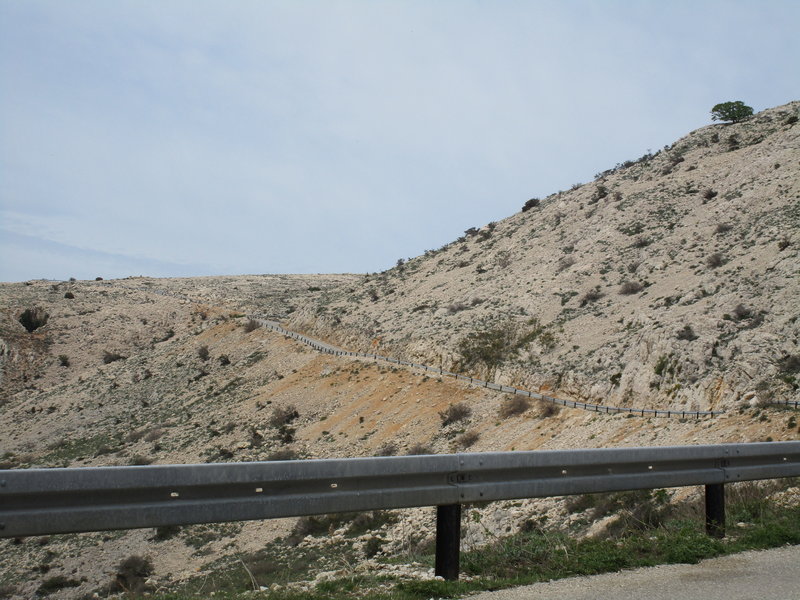 28878570dl.jpg