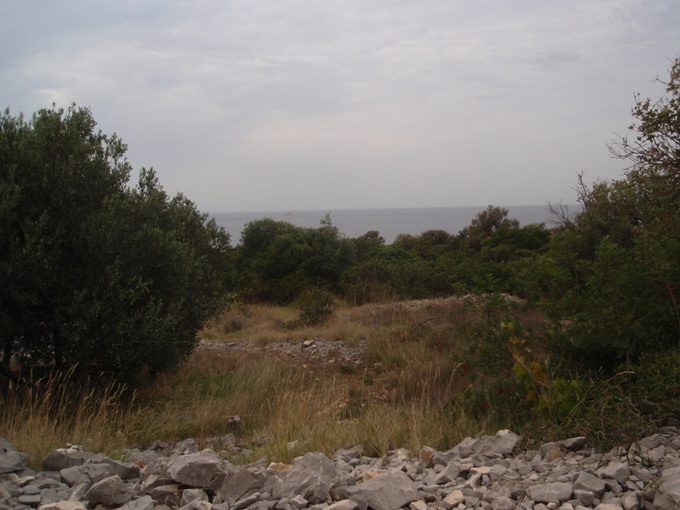 P1010391.jpg