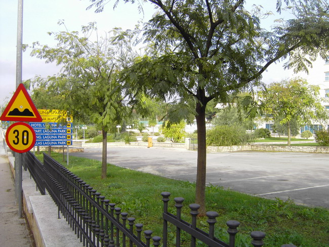 PICT2861-1.jpg