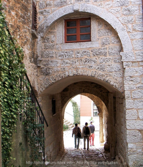 100_9527a_2.JPG