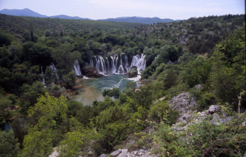 u2005-0855_Kravica.jpg