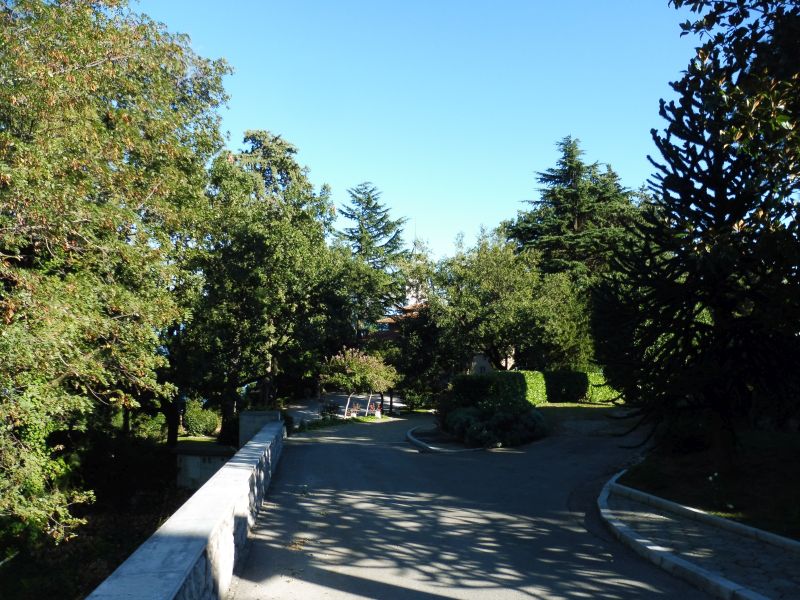 P1140473.jpg