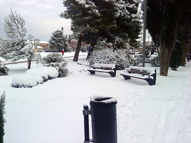 DSC00133-1.JPG