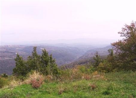 CIMG9850.jpg