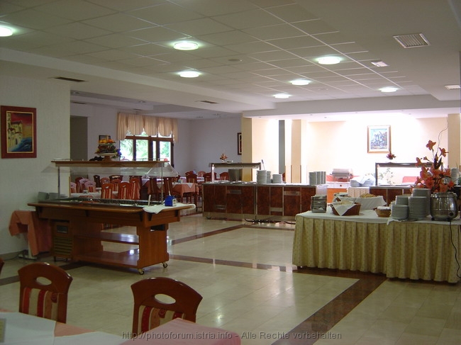 DSC01650_1.jpg