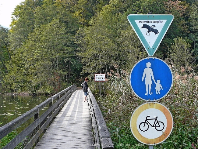 P101052011.jpg