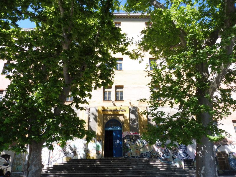 P1070308.jpg