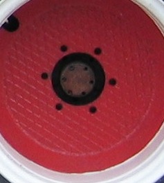 IMG_006801.jpg