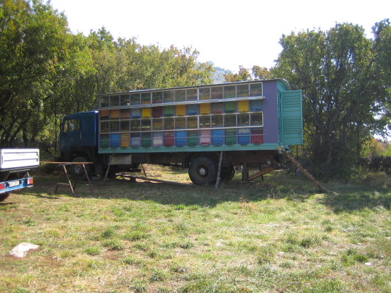 wohnmobil.jpg