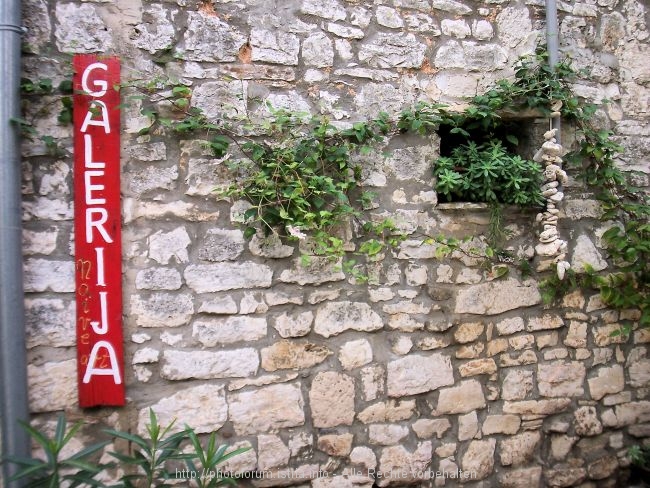 100_9566.JPG