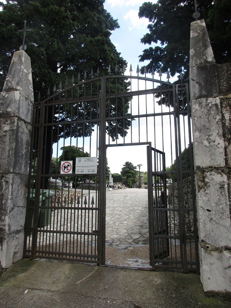 30385422bl.jpg