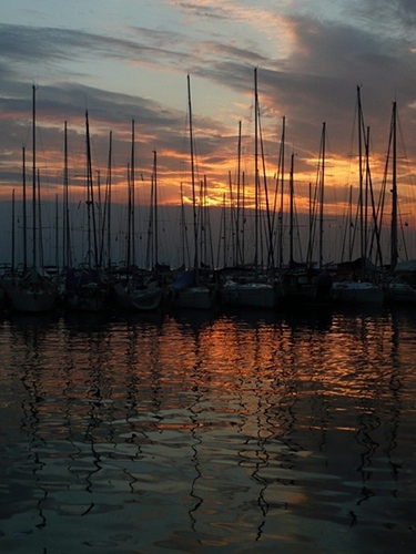 P1010687.JPG
